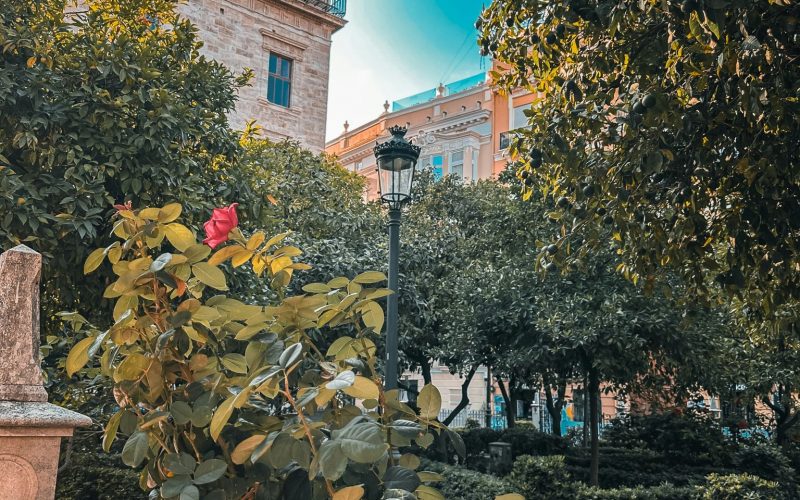 20.Jardines de la Plaza de l’Almoina