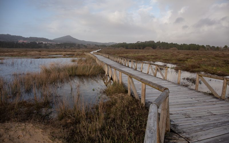 31.La Dehesa del Saler