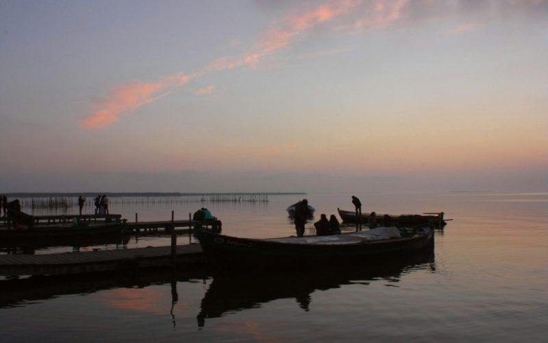 34. Paseos en barca Albufera