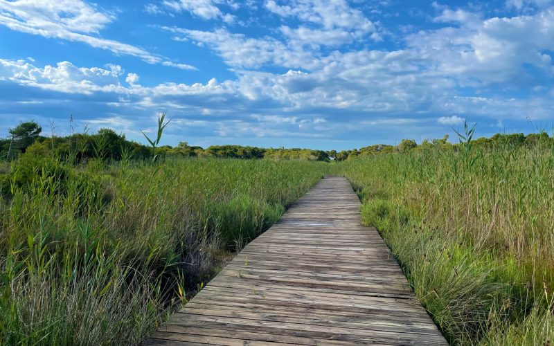 35.Senderismo y ciclismo Albufera