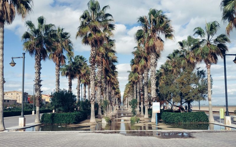 5.Paseos por el paseo marítimo de la playa Malvarrosa