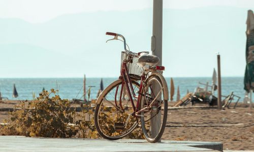 Apartamentos turísticos en Valencia alquiler bicicletas