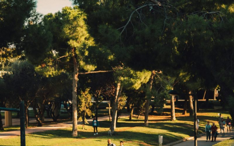 jardines del turia